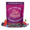 Wildberry Odyssey Mushroom Gummies | 10ct